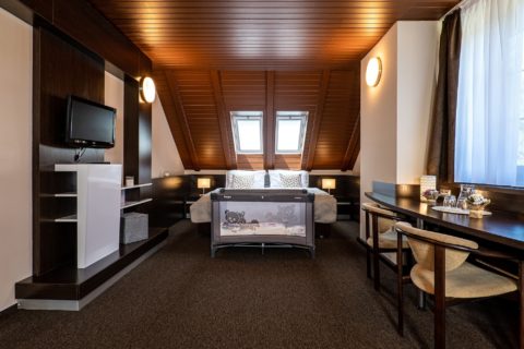 wellness hotel pod kyčmolem